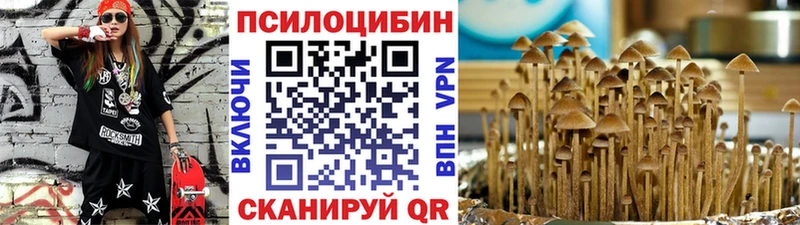 дарнет шоп  Знаменск  Галлюциногенные грибы ЛСД 
